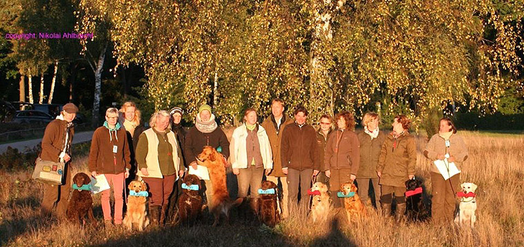 second-place-at-the-first-drc-spaniel-retriever-team-test-luenecup